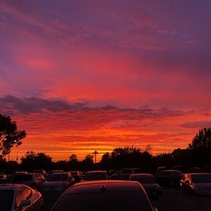 Meet your Posher, Nicholas